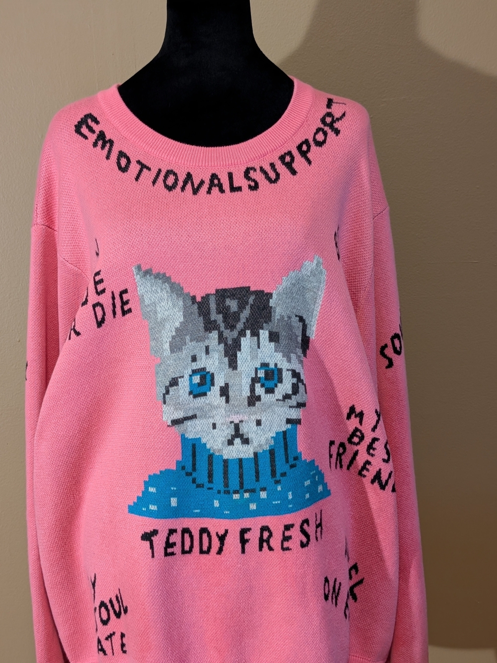 Teddy Fresh My Best Friend Knit Sweater. Pixel-Art Cat. Artist Gary Kennedy 2X.